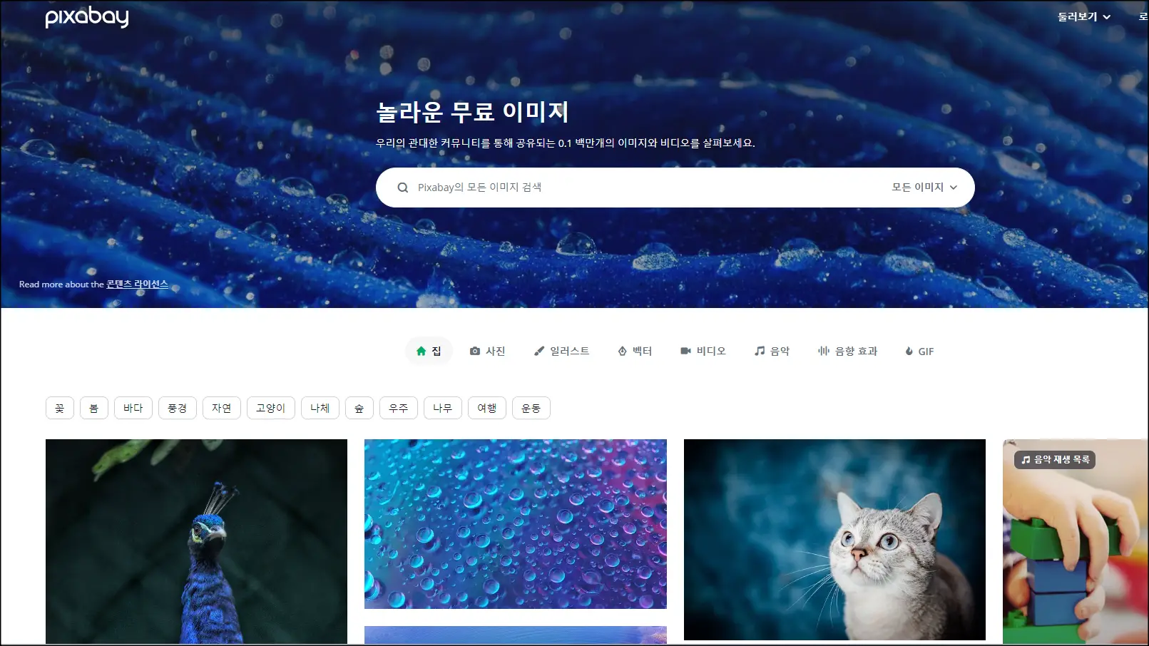 저작권 없는 무료 사진 사이트 베스트 2