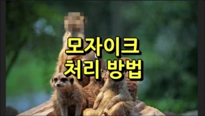 사진 모자이크 처리 방법 썸네일